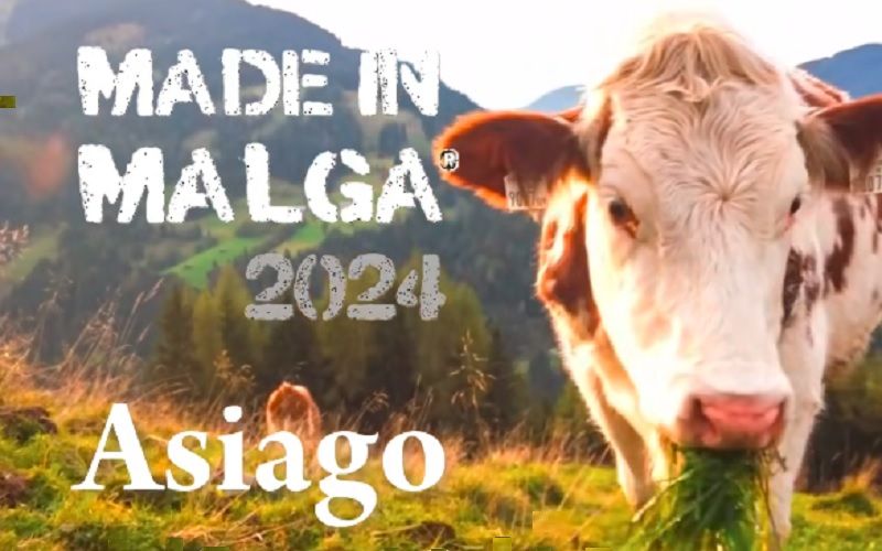 Made in Malga 2024